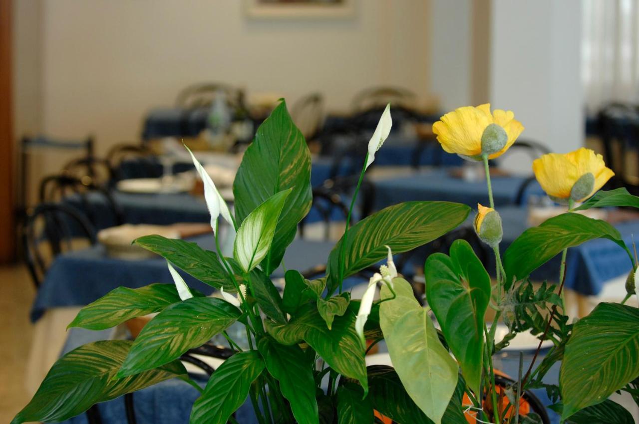 Hotel Sorriso Cattolica Buitenkant foto