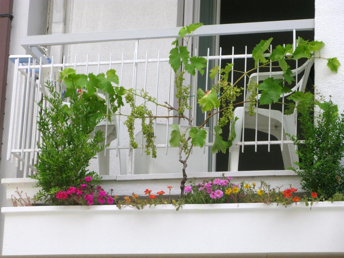 Hotel Sorriso Cattolica Buitenkant foto